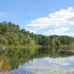 Advanced - Nickerson State Park, Brewster - Three Ponds - 5.8 miles and picnic lunch (Saturday)