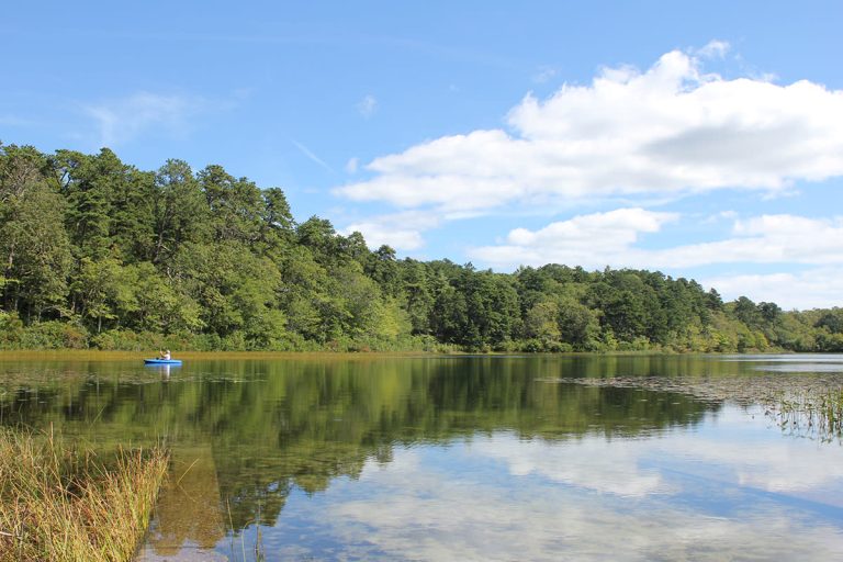 Intermediate/Advanced – Nickerson State Park, Brewster – Three Ponds – 5.8 miles (Sunday)