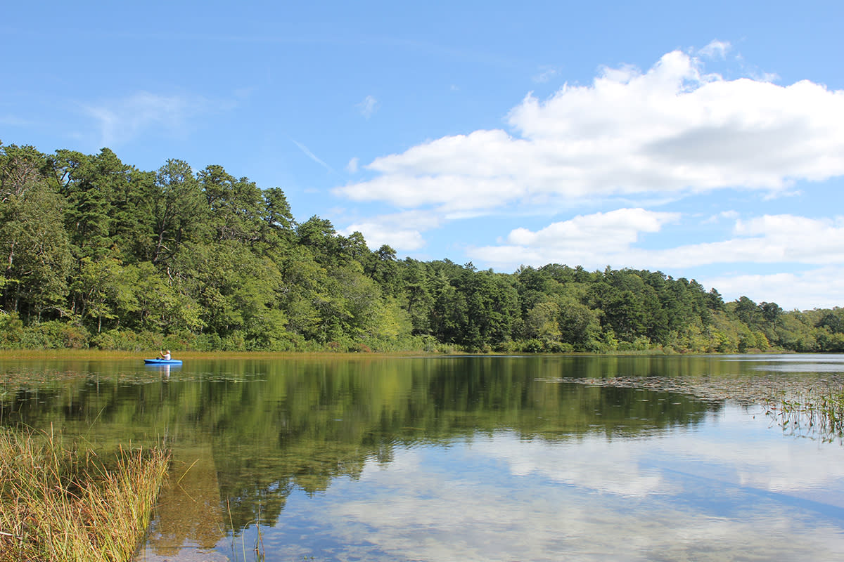 Advanced - Nickerson State Park, Brewster - Three Ponds - 5.8 miles and picnic lunch (Saturday)
