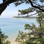 Intermediate/Advanced, Great Island, Wellfleet, 4.5 miles, Monday
