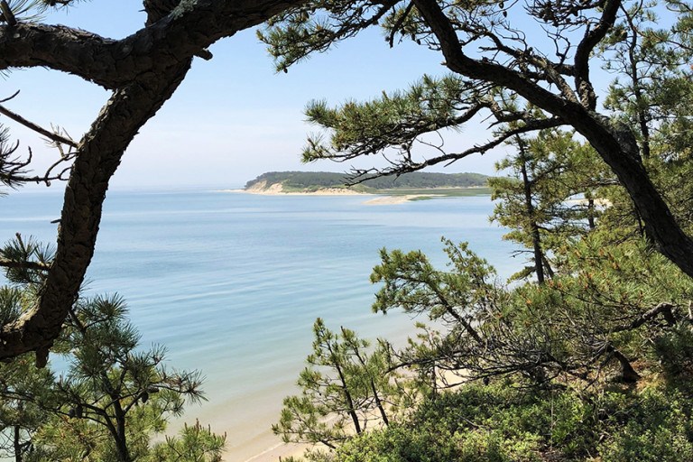 Intermediate/Advanced, Great Island, Wellfleet, 4.5 miles, Monday Intermediate/Advanced, Great Island, Wellfleet, 4.5 miles, Monday