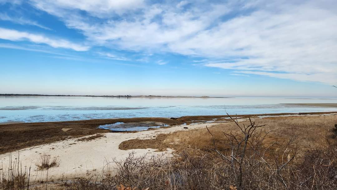 Hi Beginner/Lo Intermediate, Long Pasture, Barnstable. 2.5 miles (Sunday)