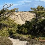 Intermediate, Newcomb Hollow Beach, Wellfleet, 4 miles, Monday
