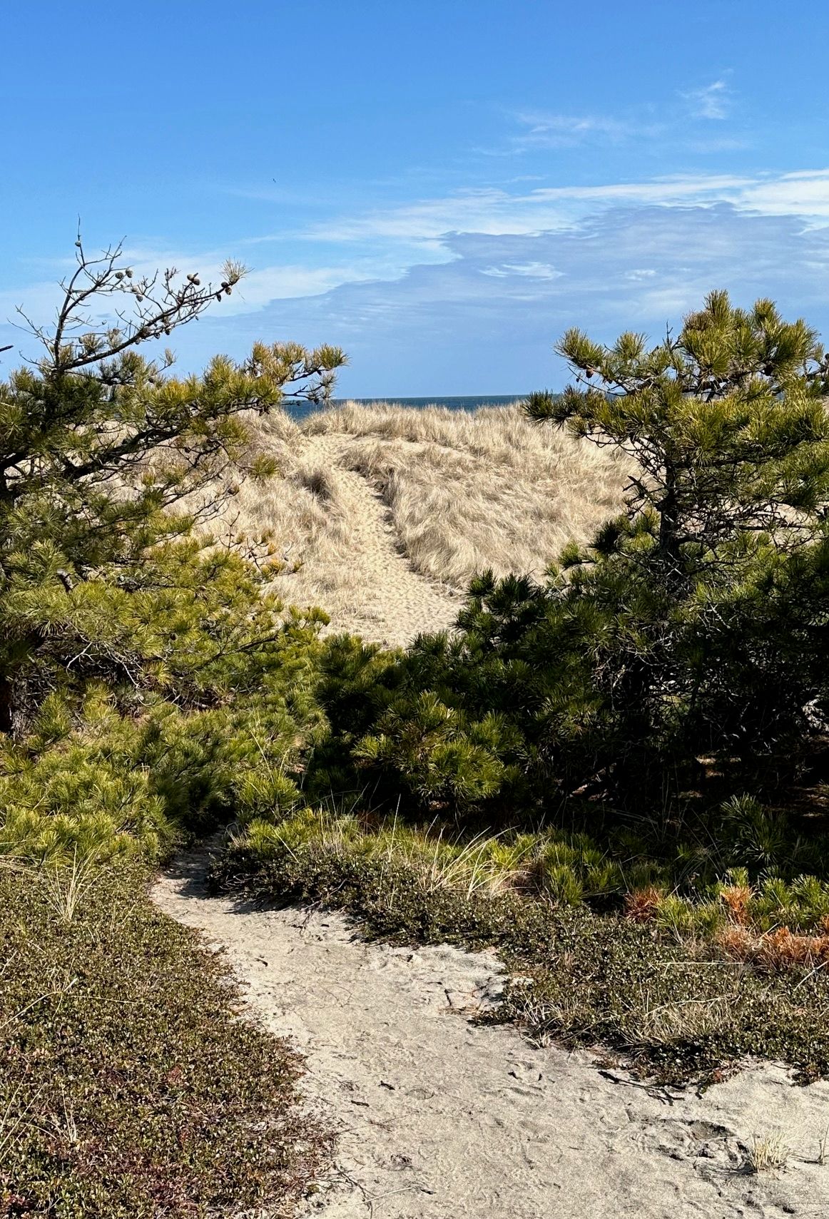 Intermediate, Newcomb Hollow Beach, Wellfleet, 4 miles, Monday