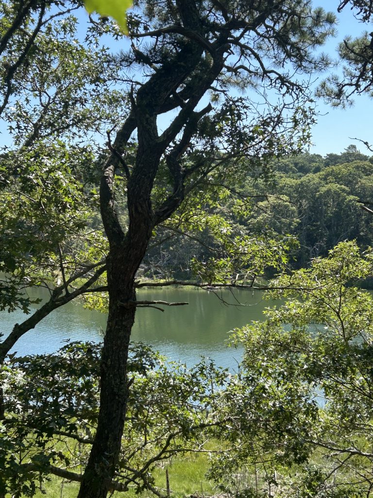 Beginner, Harwich  @ Isabel Smith Monomoy River Conservation Lands, 2 miles  Thursday, 3/26