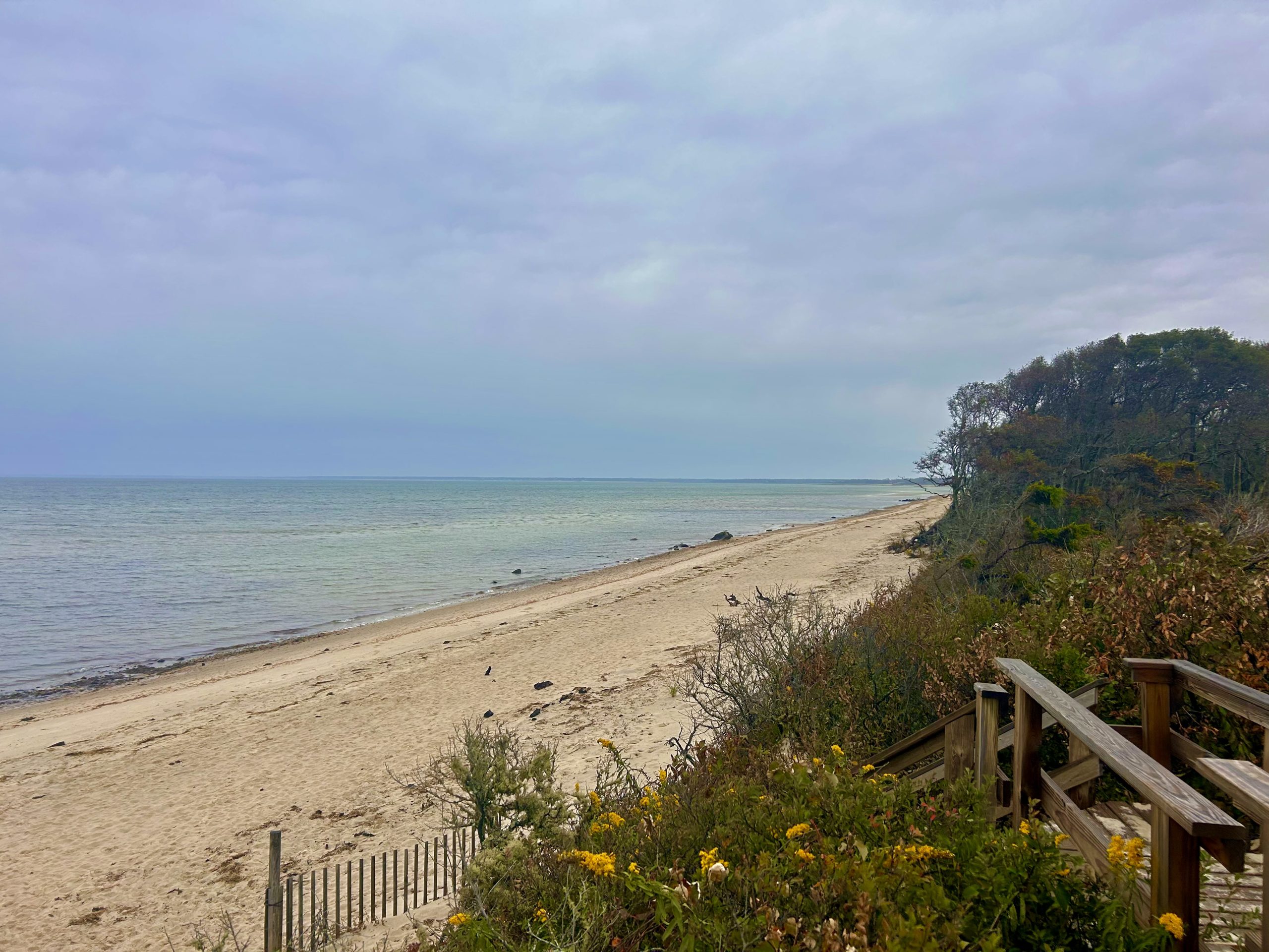 Hi Beg/Lo Intermed: Earth Day on the Brewster Flats, Brewster, 3 miles, Wednesday