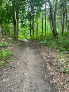 Hiking path in woods