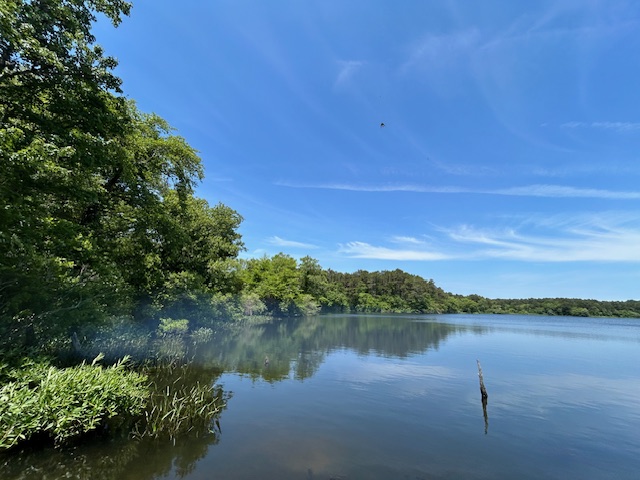 Intermediate. Bell's Neck, Harwich. 3 miles (Wednesday)