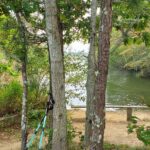 High Beginner/Low Intermediate, Bell’s Neck, Harwich, 2.5 miles Friday
