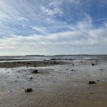 Intermediate, Lieutenant Island, Wellfleet, 3.6 miles, Tuesday