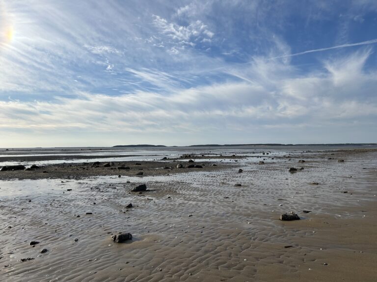 Intermediate, Lieutenant Island, Wellfleet, 3.6 miles, Tuesday