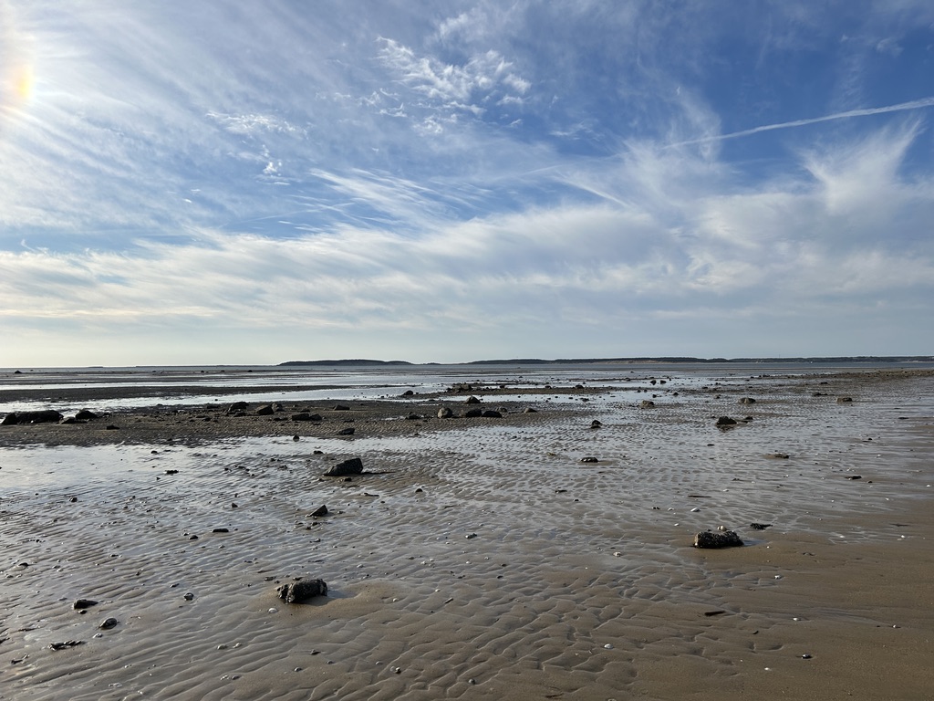 Intermediate, Lieutenant Island, Wellfleet, 3.6 miles, Tuesday