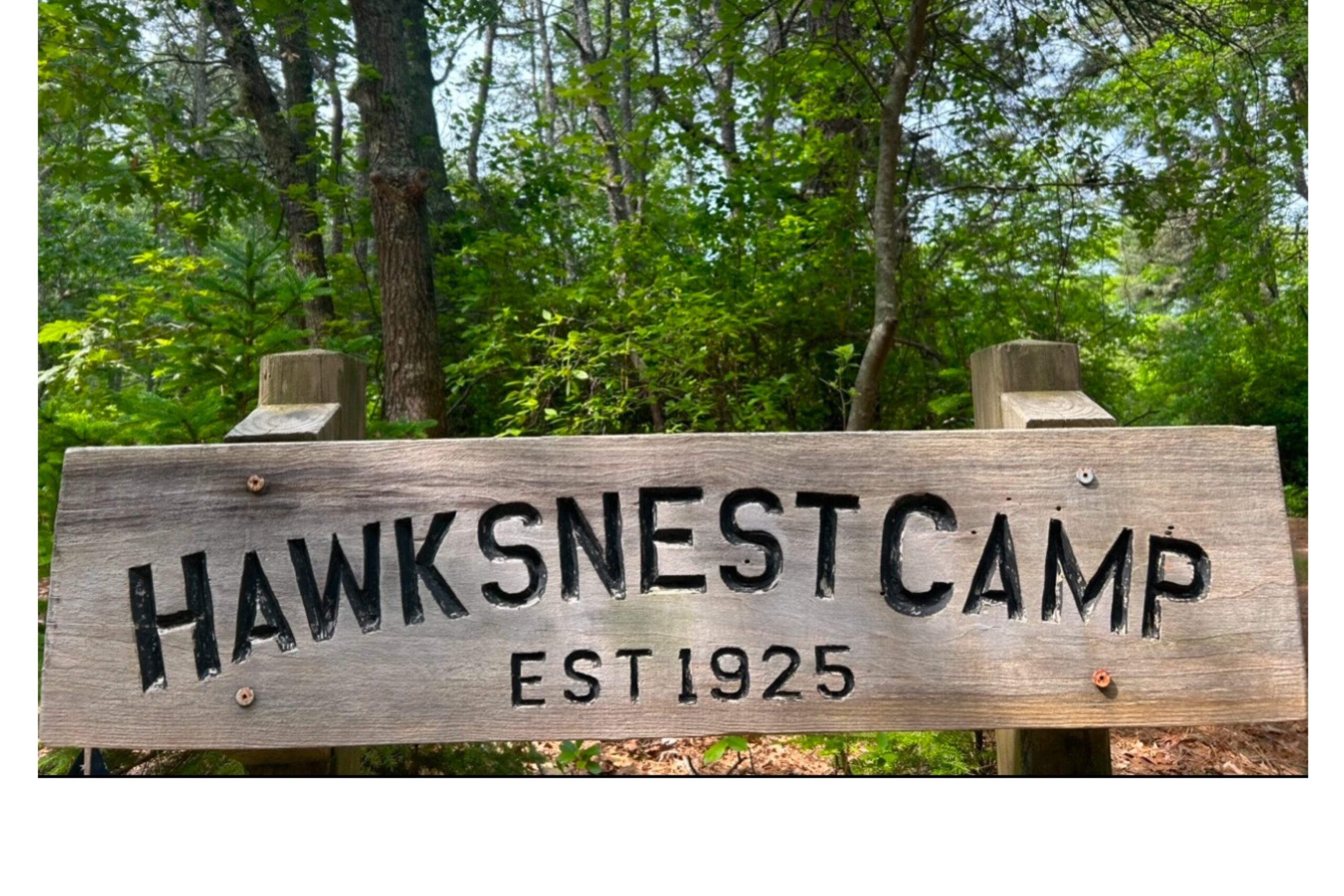 Beginner: Hawksnest Ponds, Harwich, 2.2 miles (Thursday)