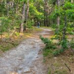 Beginner, Sand Pond Woodlands, Harwich, 1.7 miles, Thursday