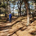 Beginner, Wellfleet Bay Wildlife Sanctuary, Wellfleet, 1.5 miles, Saturday