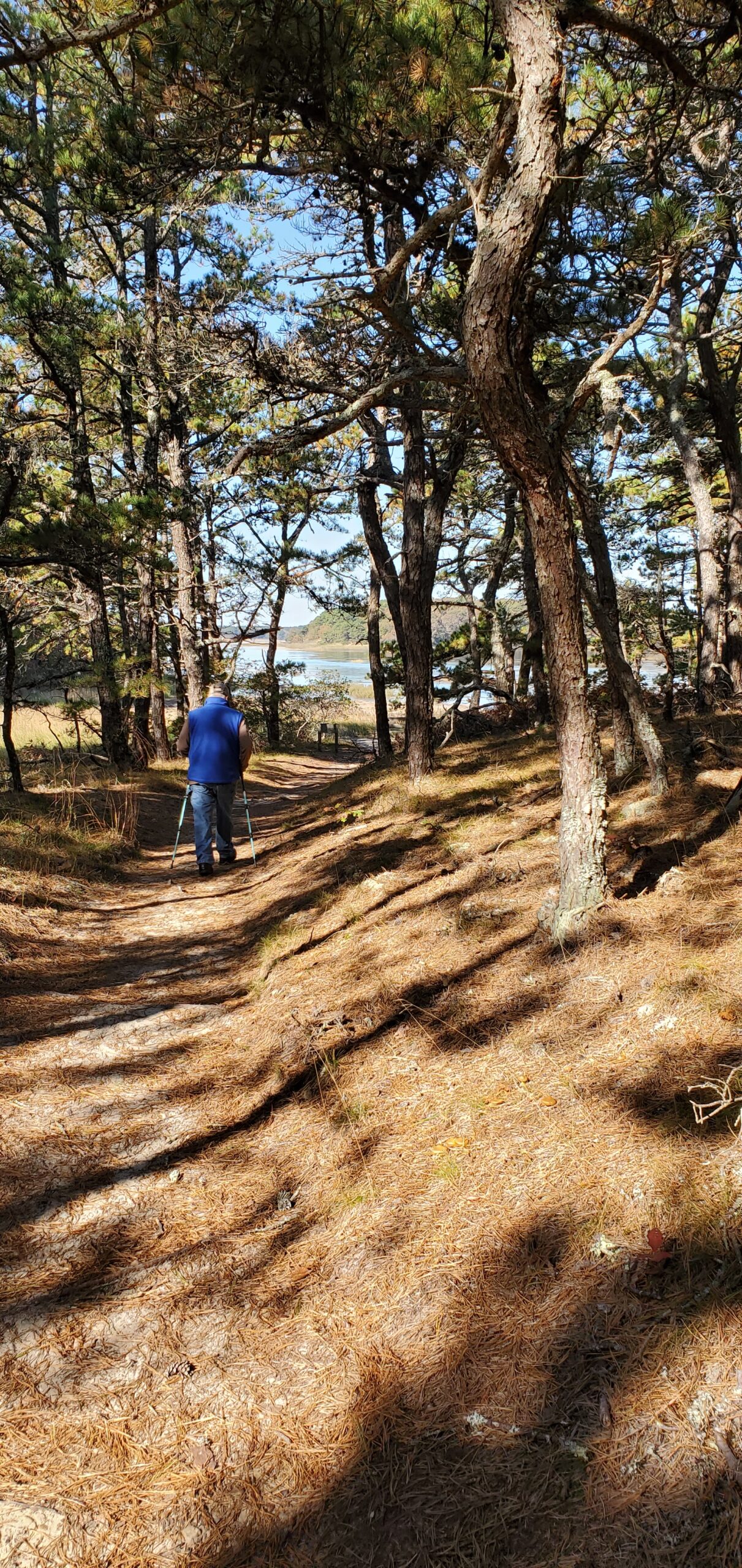 Beginner, Wellfleet Bay Wildlife Sanctuary, Wellfleet, 1.5 miles, Saturday