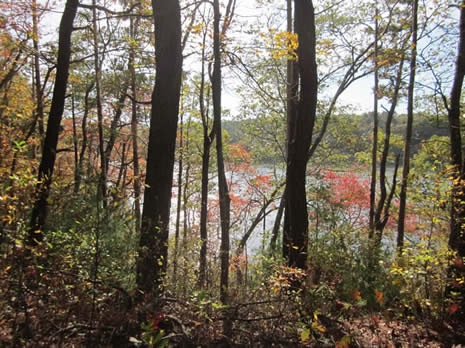 Intermediate/Advanced Long Pond Falmouth 4mi Wednesday