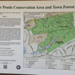 Intermediate/Advanced, Bourne Town Forest & Four Ponds, 4.5 miles Monday