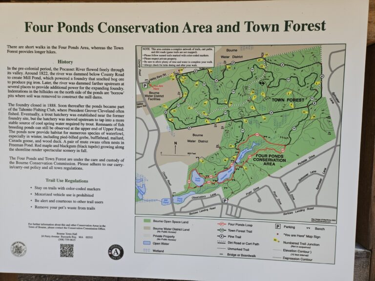 Intermediate/Advanced, Bourne Town Forest & Four Ponds, 4.5 miles Monday