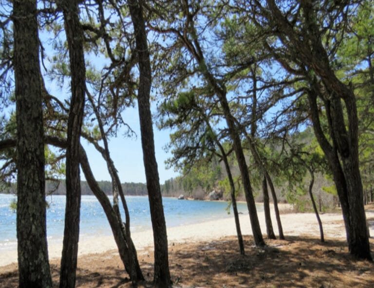 Advanced, Three Ponds, West Yarmouth, 4.0 miles, Sunday