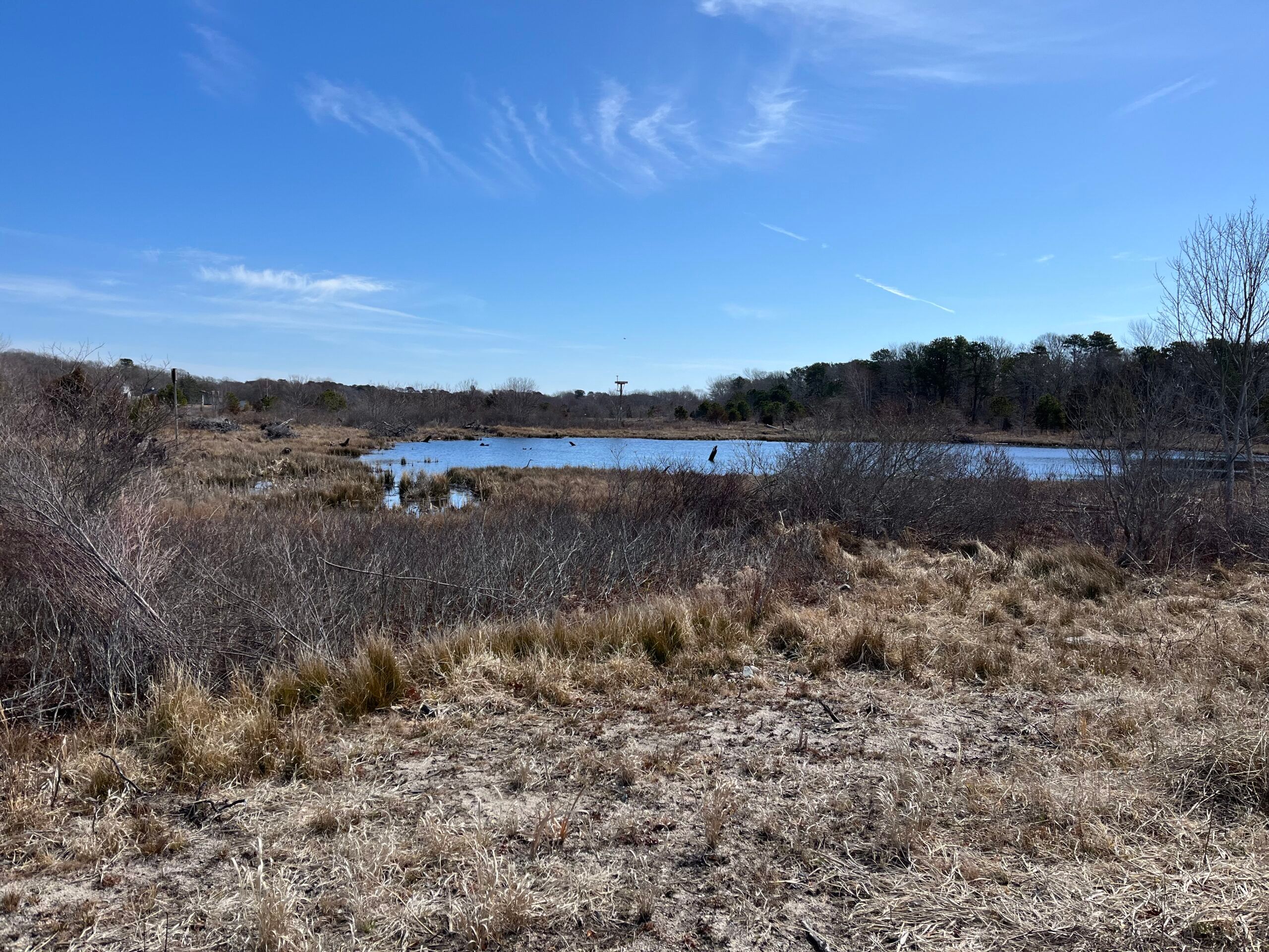 Intermediate: RF Smith Cold Brook Preserve, Harwich, 3.5 miles, (Tuesday)