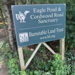 Intermediate, Eagle Pond, Cotuit, 3.1 miles, Saturday