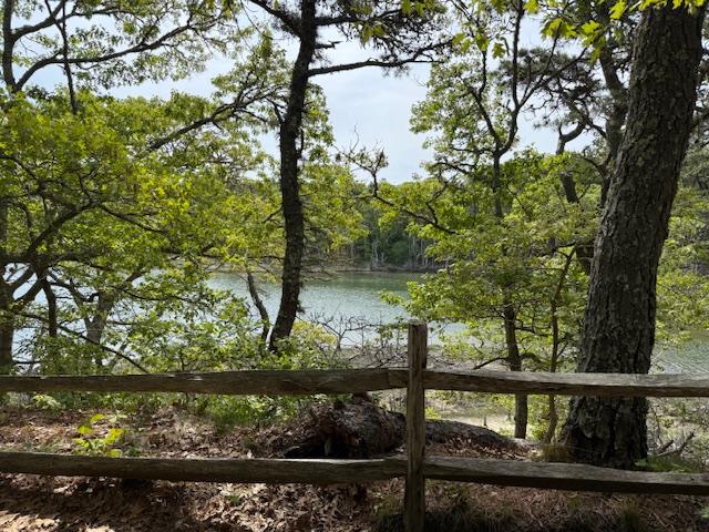 High Beginner/Low Intermediate, D. Isabel Smith Monomoy River Conservation Lands, Harwich, 1.8 miles (Tues., 5/5)