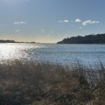 Beginner, Kent's Point, Orleans, 1.5 miles Sunday