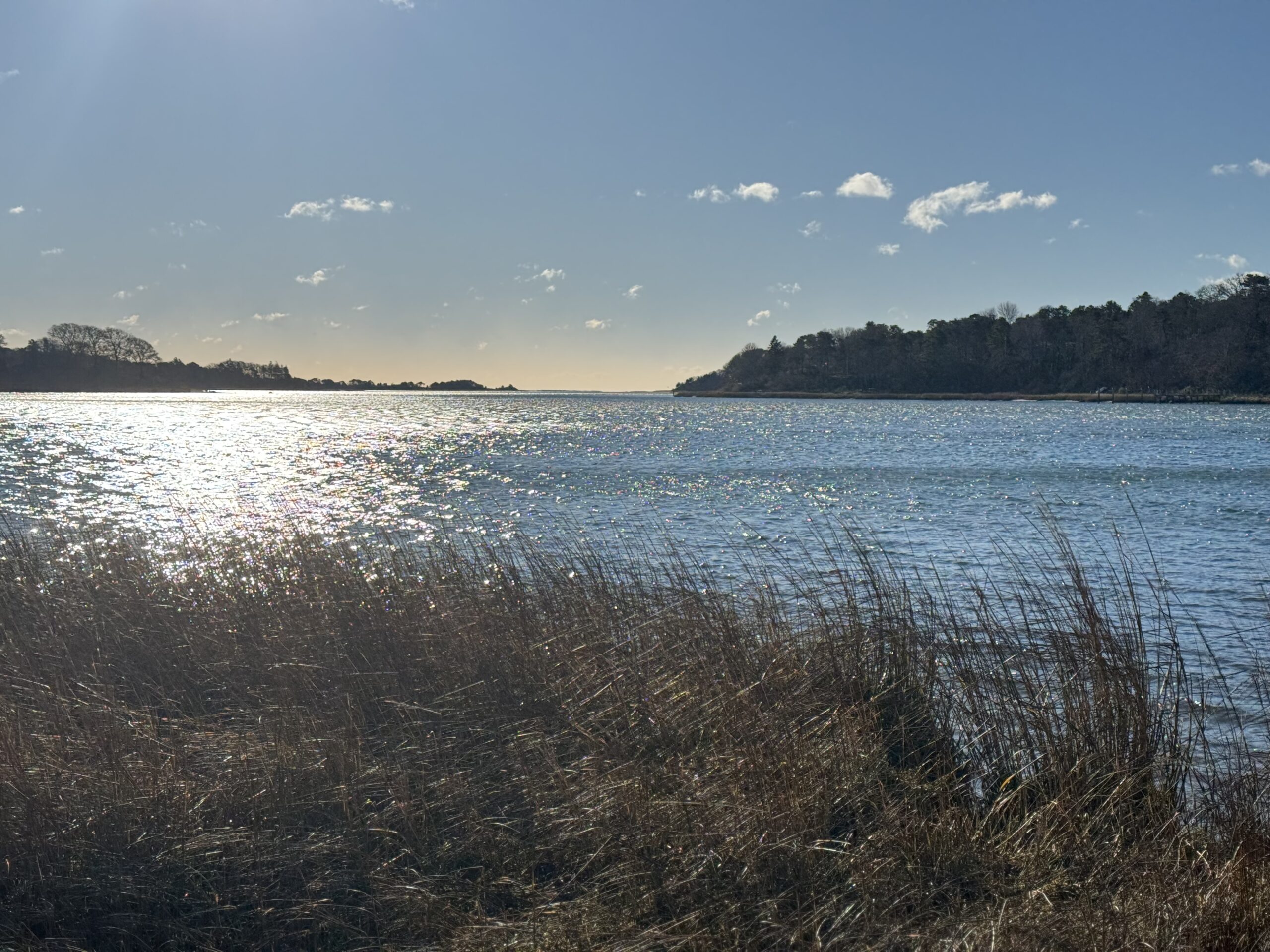 Beginner, Kent's Point, Orleans, 1.5 miles Sunday