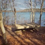 Intermediate , Lowell Holly Reservation, Mashpee, 3 miles