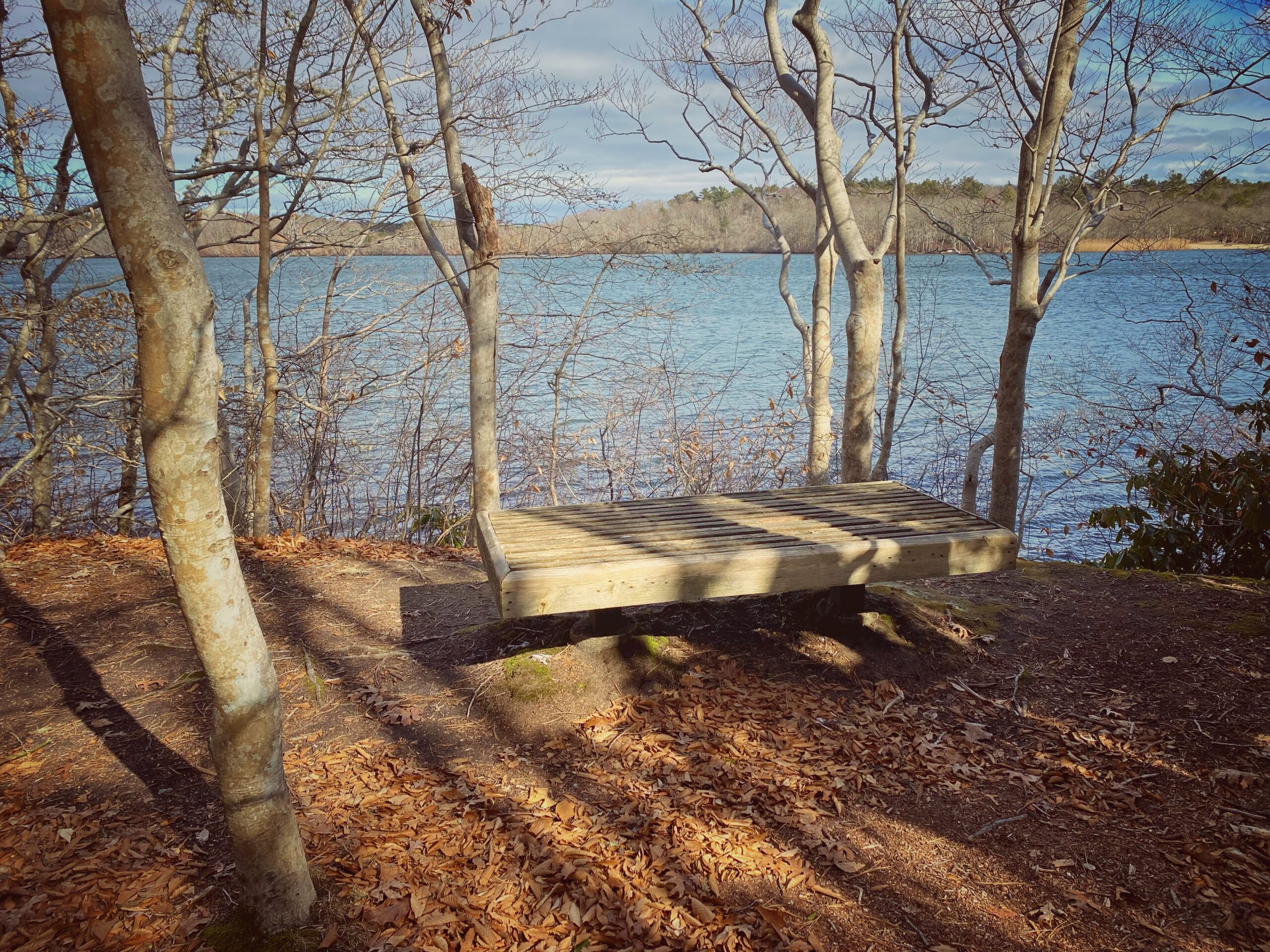Intermediate , Lowell Holly Reservation, Mashpee, 3 miles