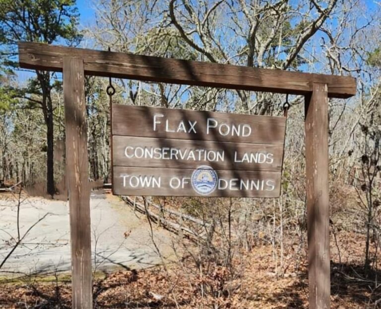 Monday, Hi Beginner/Low Intermediate, Flax Pond, Dennis, 2.25 Miles Monday, Hi Beginner/Low Intermediate, Flax Pond, Dennis, 2.25 Miles