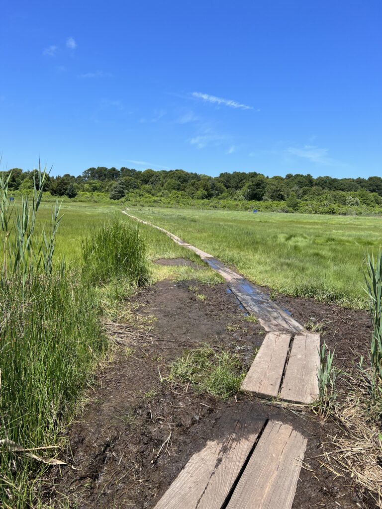 Intermediate, Drummer Boy Park-Wing Island-John&Kristi Hay Trail, Brewster, 2.9/3.7 miles, (Thursday) Intermediate, Drummer Boy Park-Wing Island-John&Kristi Hay Trail, Brewster, 2.9/3.7 miles, (Thursday)