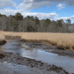 Intermediate/Advanced, Bell’s Neck, Harwich, 4.5 Miles (Wednesday)