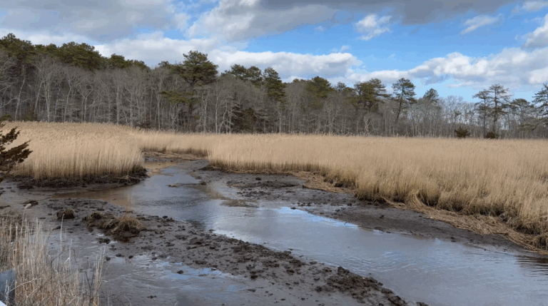 Intermediate/Advanced, Bell’s Neck, Harwich, 4.5 miles, Monday Intermediate/Advanced, Bell’s Neck, Harwich, 4.5 miles, Monday