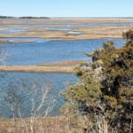 April Birthday Walk! All Levels! Fort Hill/Hemenway, Eastham 1.75 mi.  Friday