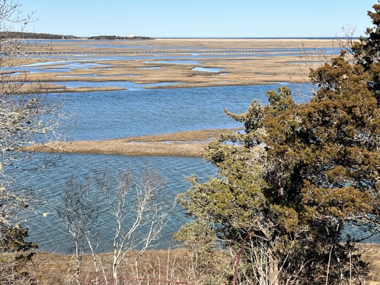 Beginner: Fort Hill/Hemenway, Eastham 1.75 mi.  Saturdayday