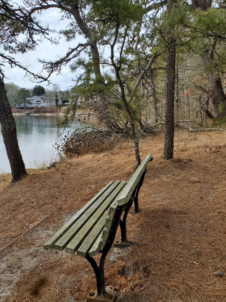 High Beginner/Low Intermediate, Indian Lands, South Dennis, 1.7 miles, Friday