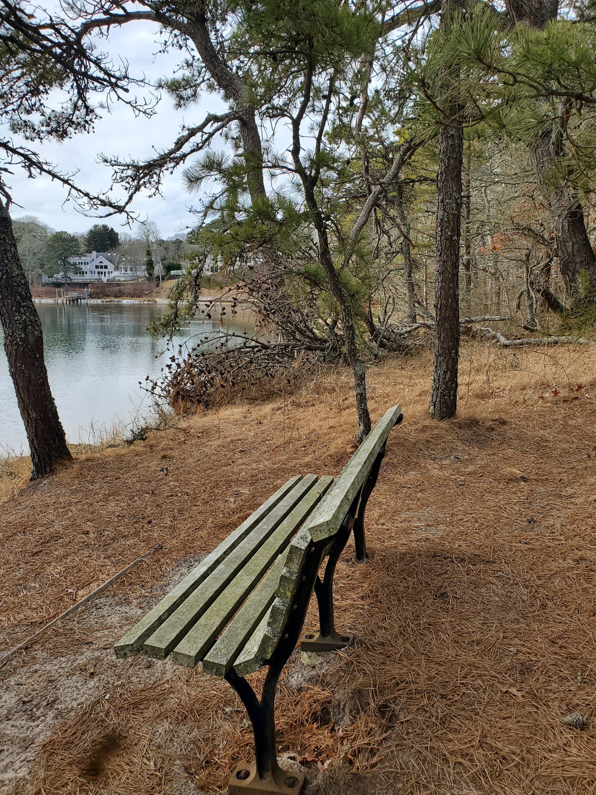 Hi Beginner/Low Intermediate, Indian Lands, South Dennis, 1.7 miles, Friday