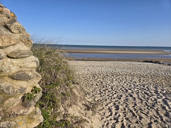 Pop UP! Hi Beginner, low Intermediate. Linnell Landing to Namskaket Creek, Brewster, 2.0 miles, Tuesday