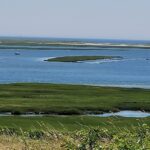Beginner/Intermediate - Fort Hill, Eastham 1.8 or 3.6 miles (Friday)
