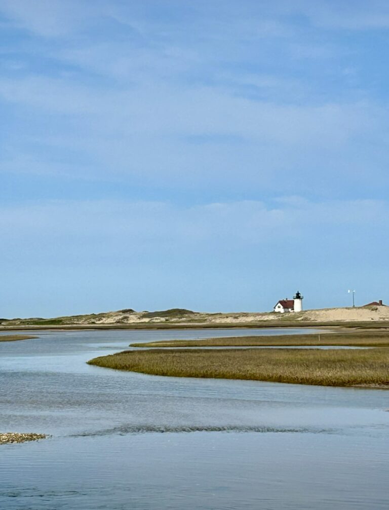Intermediate/Advanced: Hatches Harbor to Race Point Light, Provincetown, 3.5 miles (Monday) Intermediate/Advanced: Hatches Harbor to Race Point Light, Provincetown, 3.5 miles (Monday)