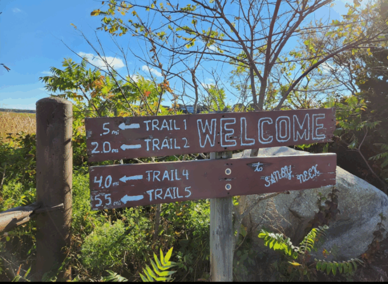 Advanced, Sandy Neck Walk before CCNW 3rd Anniv. Celebration, Barnstable, 2ish or 4ish miles, Wednesday Advanced, Sandy Neck Walk before CCNW 3rd Anniv. Celebration, Barnstable, 2ish or 4ish miles, Wednesday