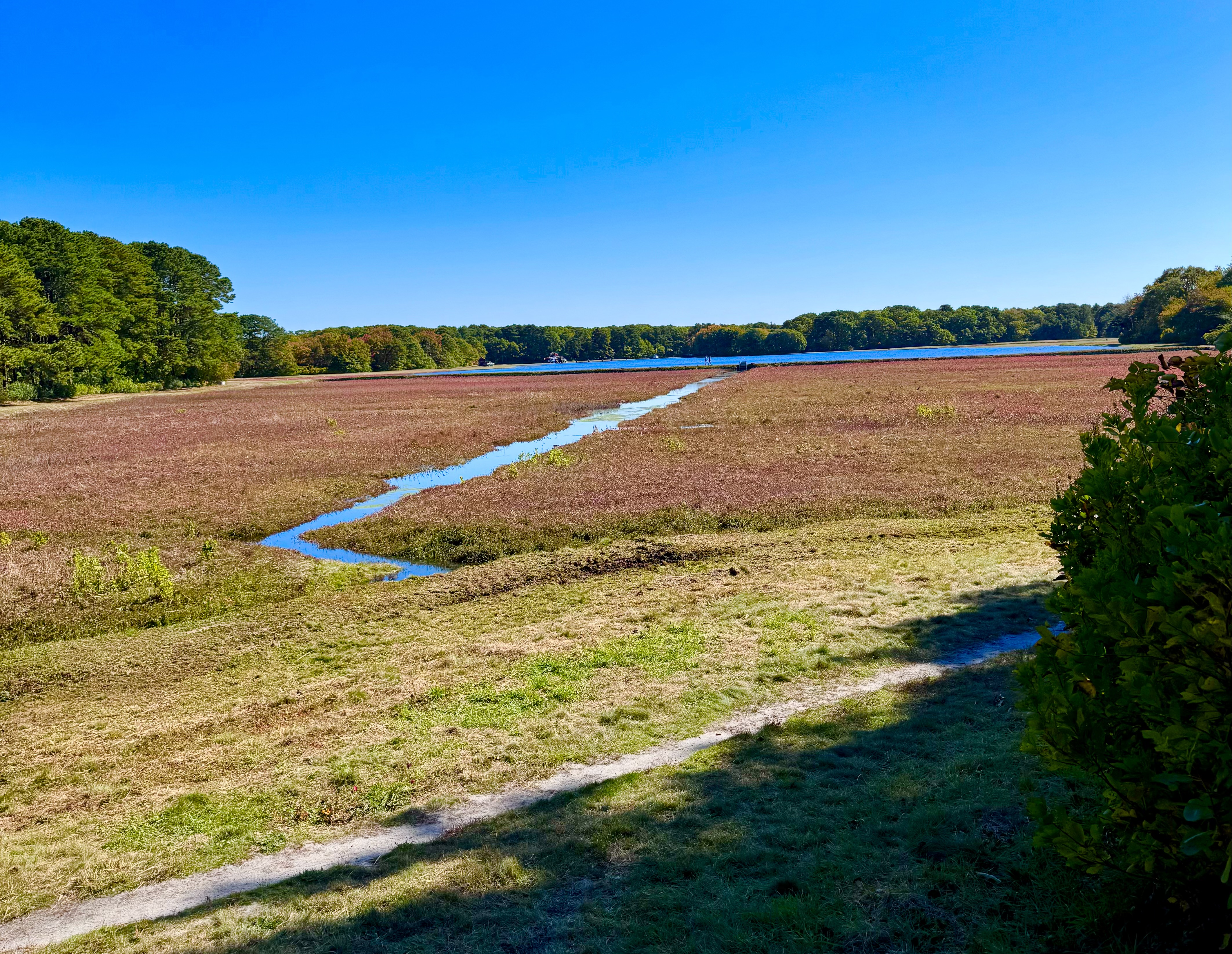 Advanced, Sandy Pond, West Yarmouth, 5.5 miles, Thursday