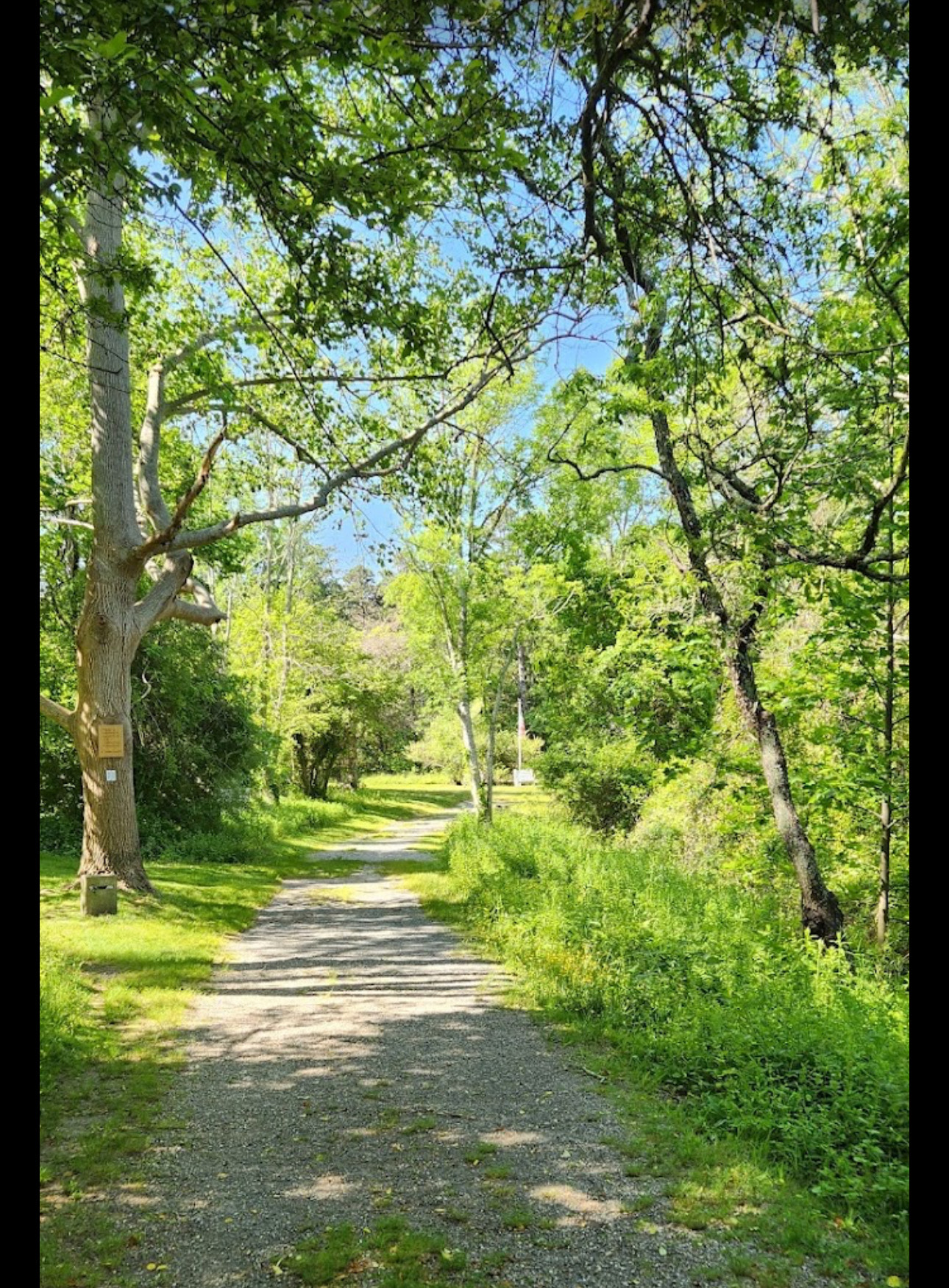 Intermediate/Advanced, Yarmouth Port Historical Society, Yarmouth Port, 2.2 or 4.4 miles, Thursday