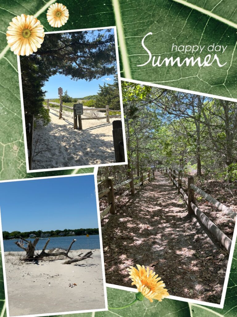 Intermediate, Craigville Beach, Centervillle, Barnstable, 3.2 miles, Tuesday Intermediate, Craigville Beach, Centervillle, Barnstable, 3.2 miles, Tuesday