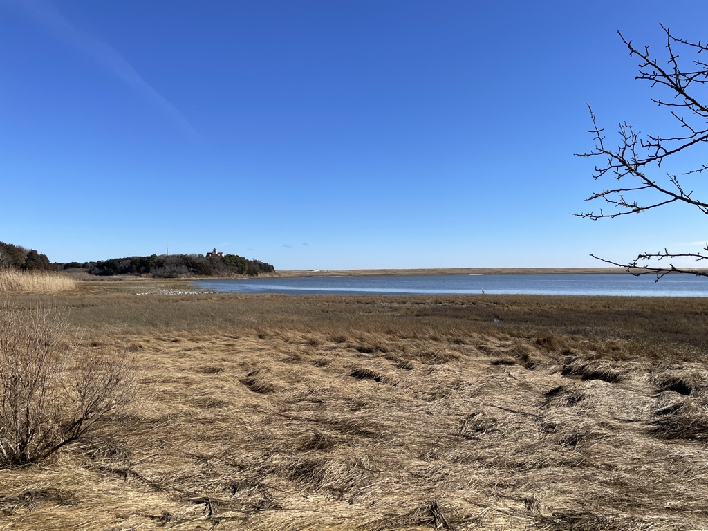 Advanced, Nauset Marsh to Coast Guard Beach, Eastham, 6.5 miles, Tuesday