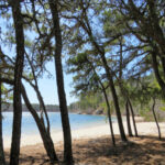 Intermediate, Sandy Pond, West Yarmouth, 2.8 miles, Wednesday