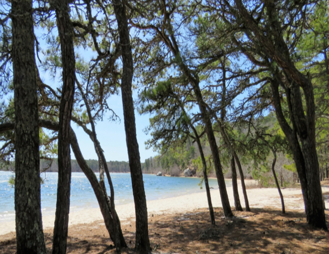 Intermediate, Sandy Pond, West Yarmouth, 2.8 miles, Wednesday