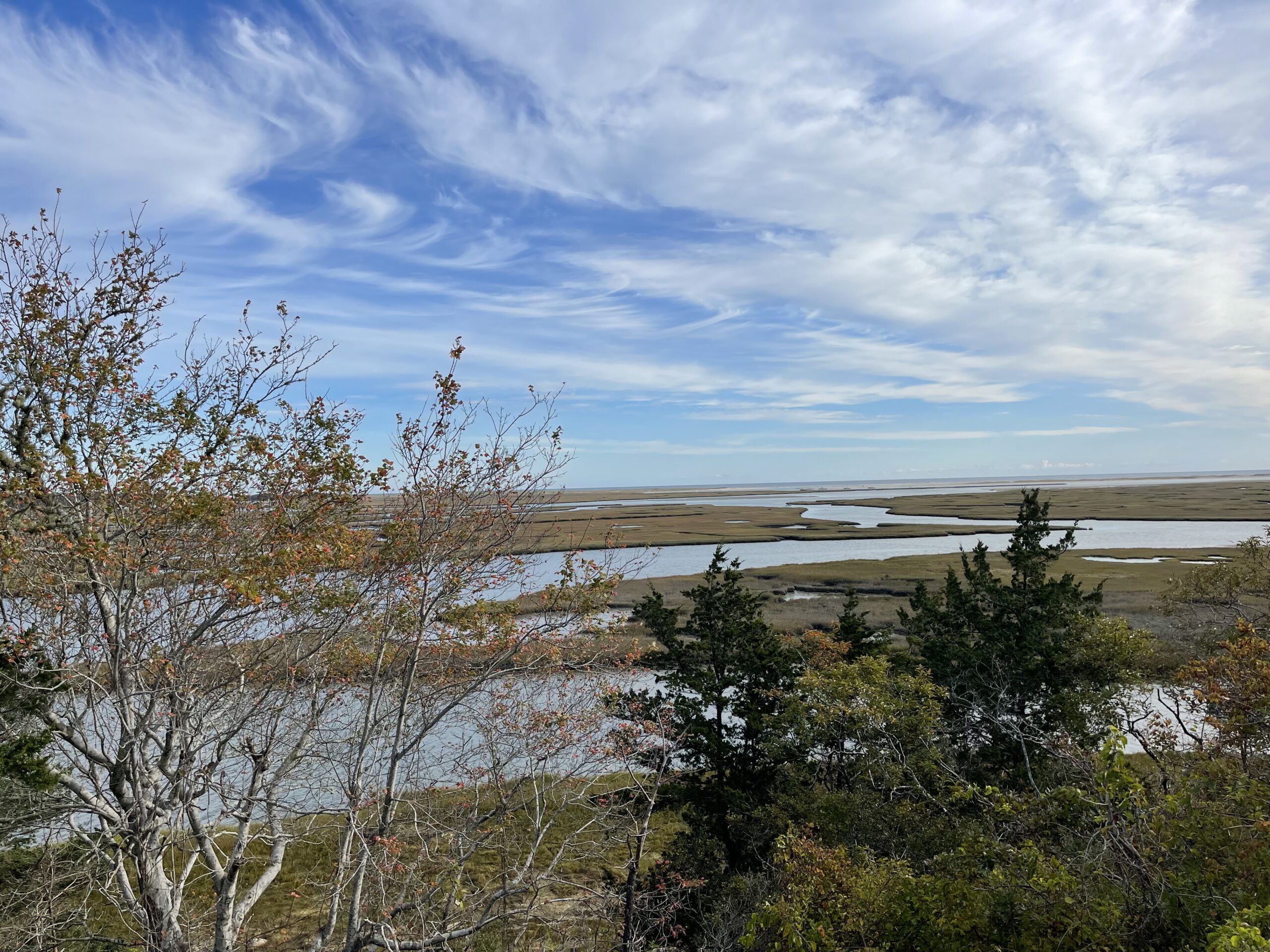 Beginner, Fort Hill/Hemenway , Eastham. 1.75 mi.  Thursday